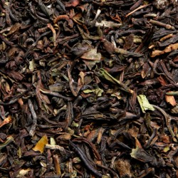 Darjeeling Himalaya